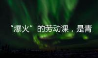 “爆火”的劳动课，是青年与社会的热烈对话
