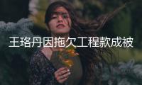 王珞丹因拖欠工程款成被执行人 执行标的30.96万
