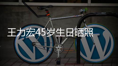 王力网友发胡狂野须造型显吓到宏4 长5岁生日晒照