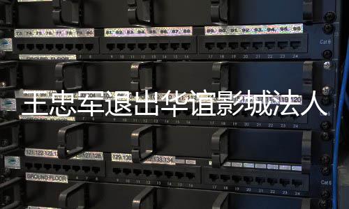 王忠王夫军退儿子谊影也接出华城法人 任