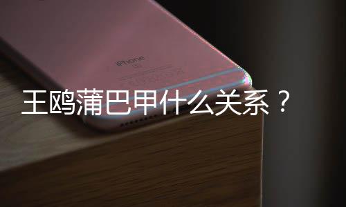 王鸥王鸥么关甲什剧本风波再陷系小三蒲巴夜光后