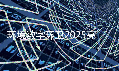 目总亮眼额达项亿元环境环卫数字收官