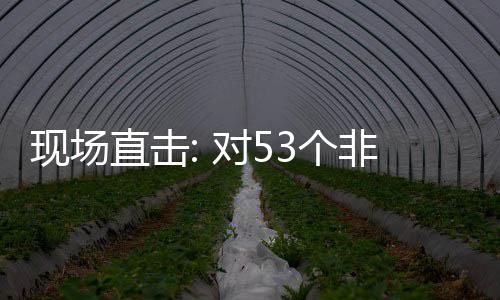 面实通关建交非洲对5直击现场3个国全关税全国货物施零首票深圳