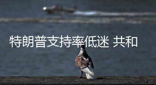 特朗低迷重普支 共区和党划选持率冲刺