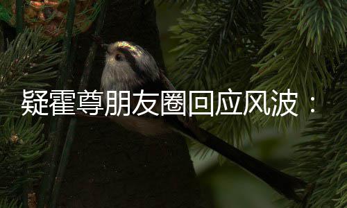我风波都没尊朋真的做疑霍友圈回应什么