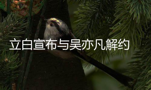 立白 停解约止品作宣布牌合与吴亦凡