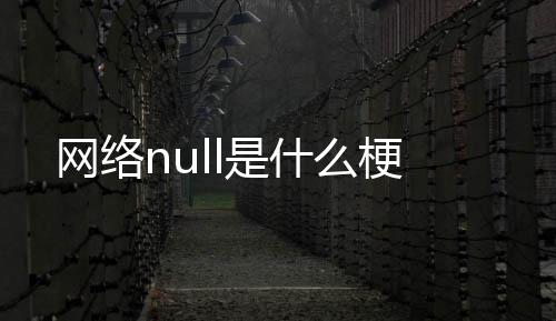 网络么梗是什