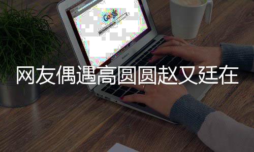 网友挽手蜜街 都逛在成高圆亲密圆赵又廷好甜偶遇