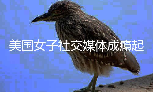 万美美国媒体女子赔6谷歌起诉元 获成瘾社交