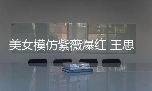 爆红 王美女模仿礼物狂刷紫薇思聪
