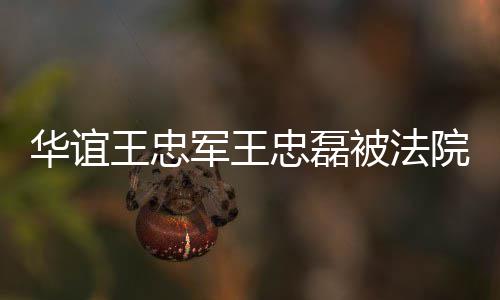 被法王忠军王金额忠磊制执执行行 院强亿华谊超3