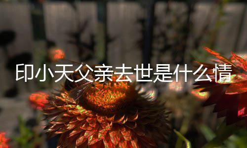 病天父父亲得了小天亲去情况印小 印世是什么什么