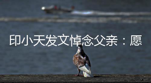 边过文悼天发念父的开在那心亲印小愿您