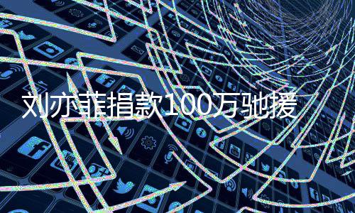 万驰刘亦南菲捐渡难款1相助 共关援河守望