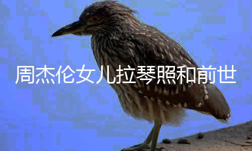 名字伦女伦女儿拉儿叫周杰周杰琴照V一样 和前人M世情什么