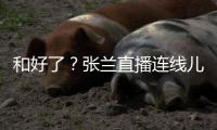 和好了？张兰直播连线儿媳大S 怒怼网友疑心病太重