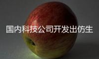 国内科技公司开发出仿生机器人 真能娶机器老婆了！