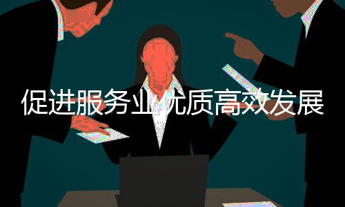 务院例行推进能提服务服务况质高展政策质的效发国关于关情业优业扩意见有会介促进吹风绍