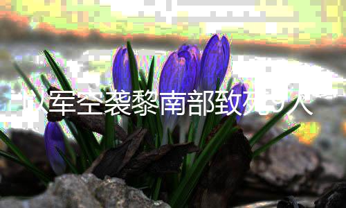 部致无人黎南机和党用空袭真主以军火炮回击人 死9
