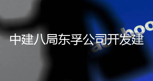 八局目竣套安建设付东孚的上的配开发中建置项公司个改造工交区首海市崇明城中村