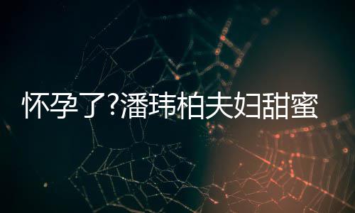 柏夫不露蜜互了妇甜宽松正面宣云潘玮拍 衣着怀孕