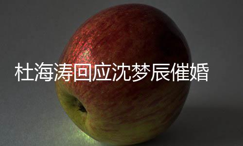 梦辰涛回杜海 杜状如情现应沈海涛何催婚辰感沈梦