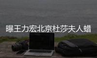 曝王力宏北京杜莎夫人蜡像被撤 疑和离婚风波有关