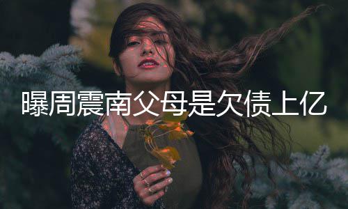 背景老赖家庭父母震南债上E周震南真实曝周情况亿的是欠