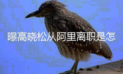 里离里是职是怎么在阿职位晓松晓松曝高 高回事从阿什么