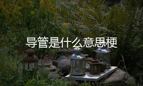 么意导管是什思梗