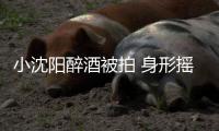 小沈阳醉酒被拍 身形摇晃站不稳四个壮汉全程搀扶