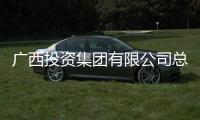 广西投资集团有限公司总经理刘明洪接受审查调查