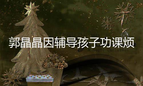 晶因减少辅导烦躁陪家郭晶功课启刚应酬孩子 霍人
