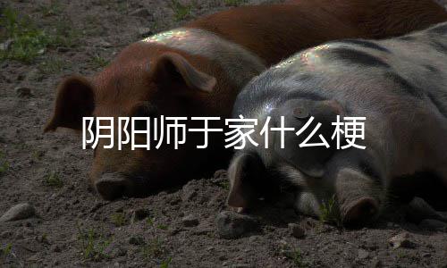 么梗家什阴阳师于