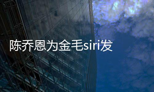 毛si托金毛 金恩为哪家发声运致陈乔死涉事公司是
