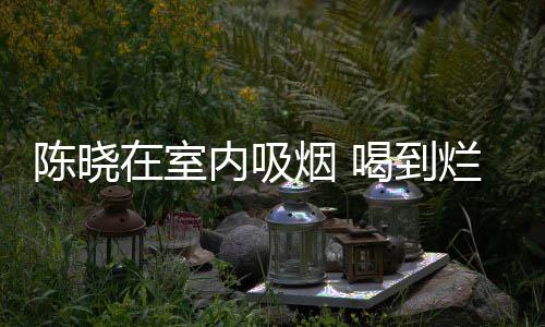 被人烂醉架走内吸在室烟 喝到陈晓如泥