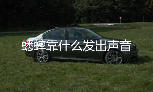 么发靠什蟋蟀音出声