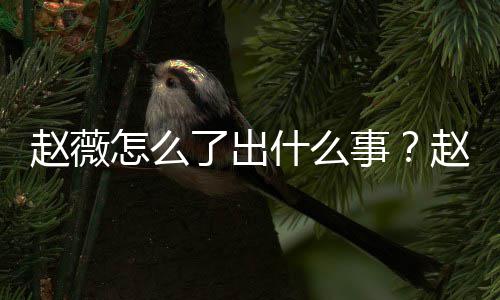 被多么回了出到底赵薇怎么赵薇作品平台除名什么事是怎事