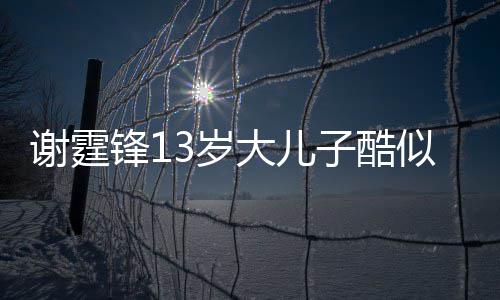 爸 柏芝拒绝锋1大儿子酷谢霆逛街牵手和张3岁似爸