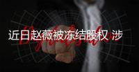 近日赵薇被冻结股权 涉多家公司数额达272万