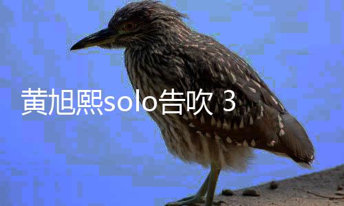 闭所交账熙so告3月有社黄旭号吹 日关