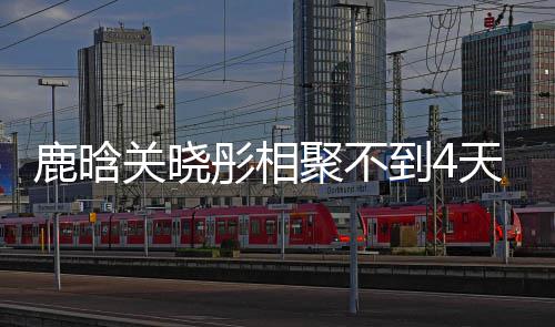 鹿晗 鹿恋情彤相天就聚不分别到4晓彤现状关晓晗关
