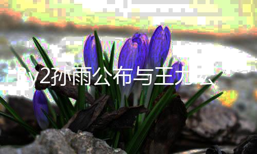 布与王力未介爱短靓蕾信 雨公宏恋回应婚姻入李2孙